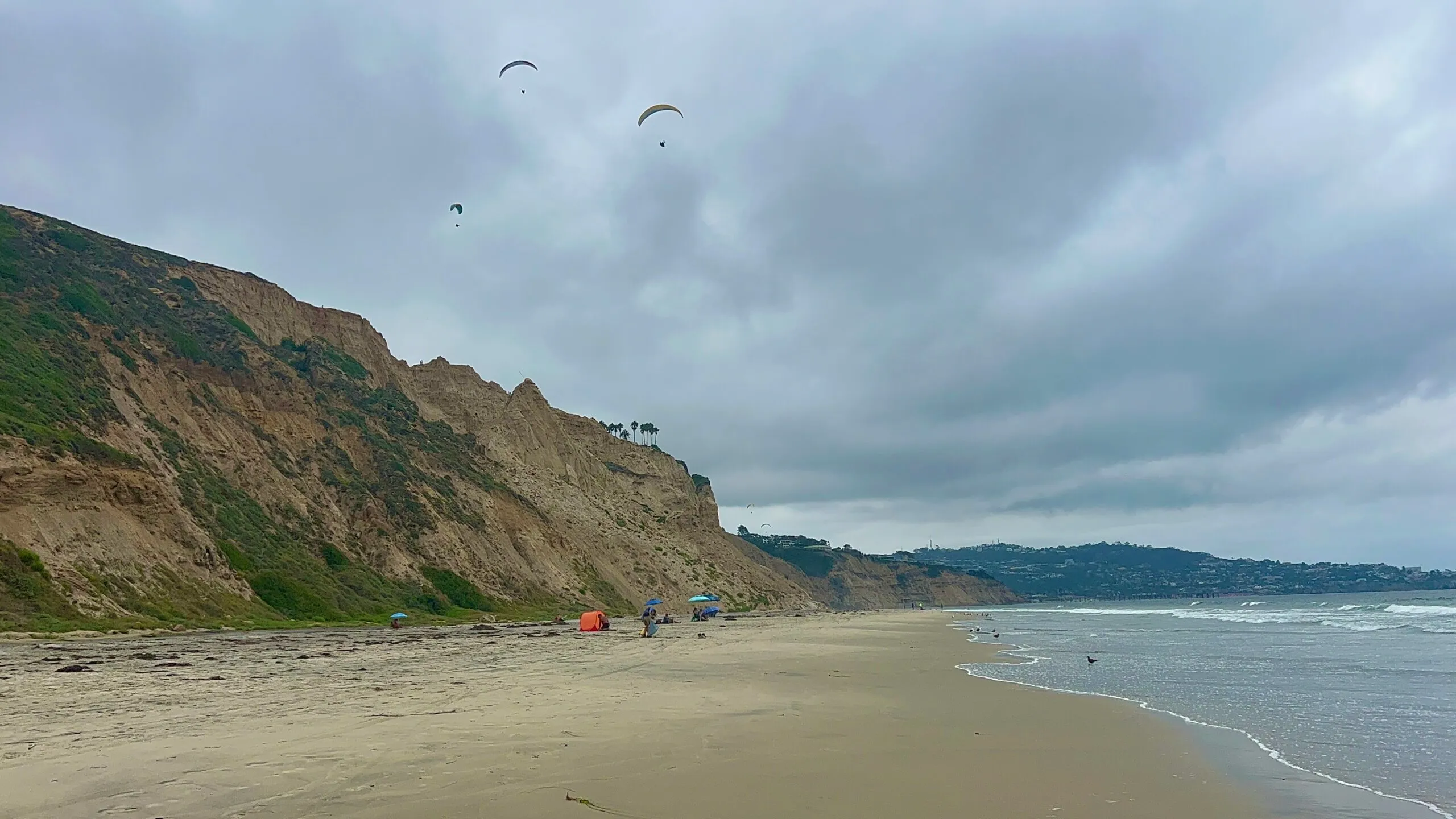 Black's Beach looking south