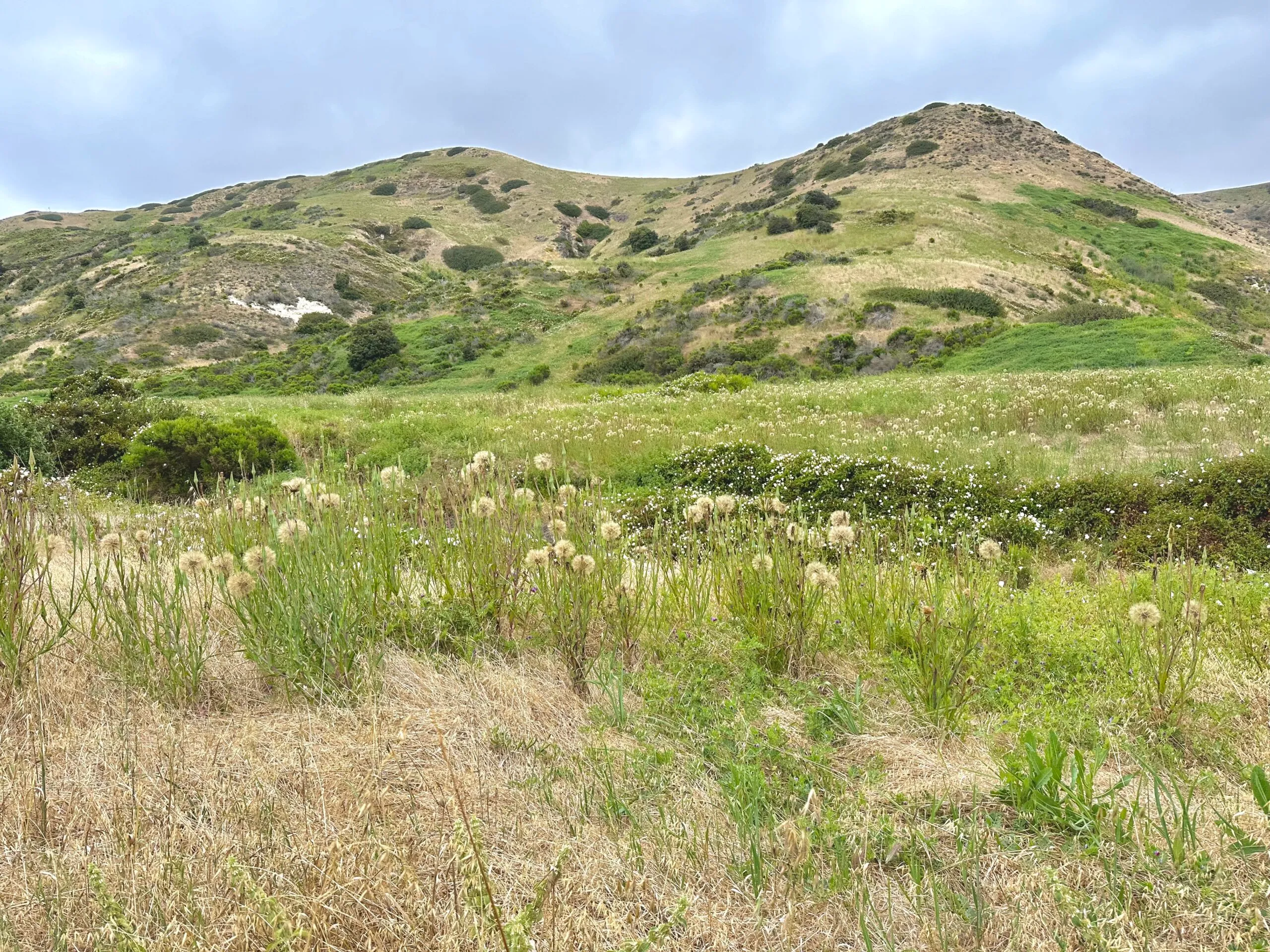  Scorpion Canyon Loop, Santa Cruz, Channel Islands National Park