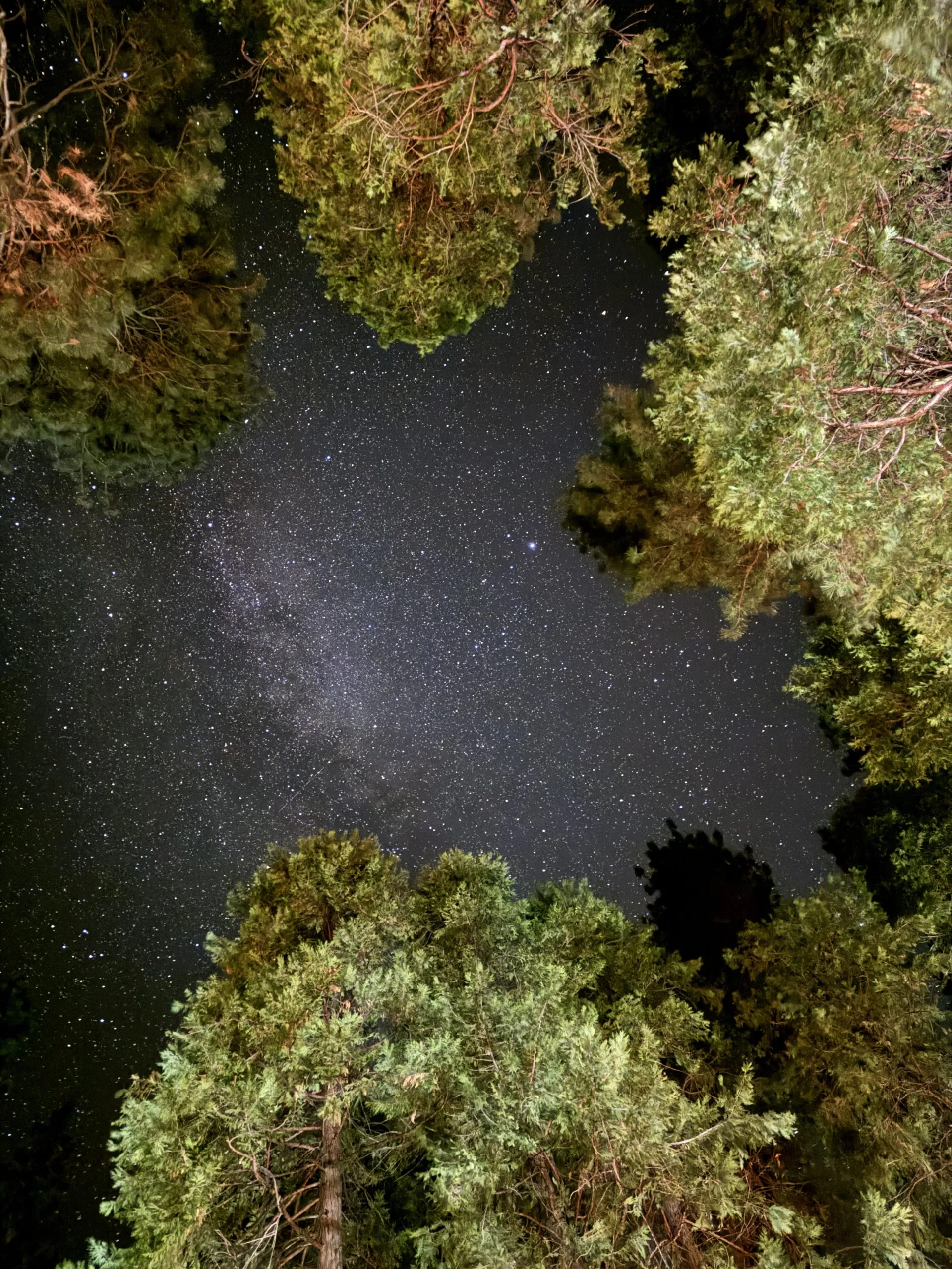 best stargazing california