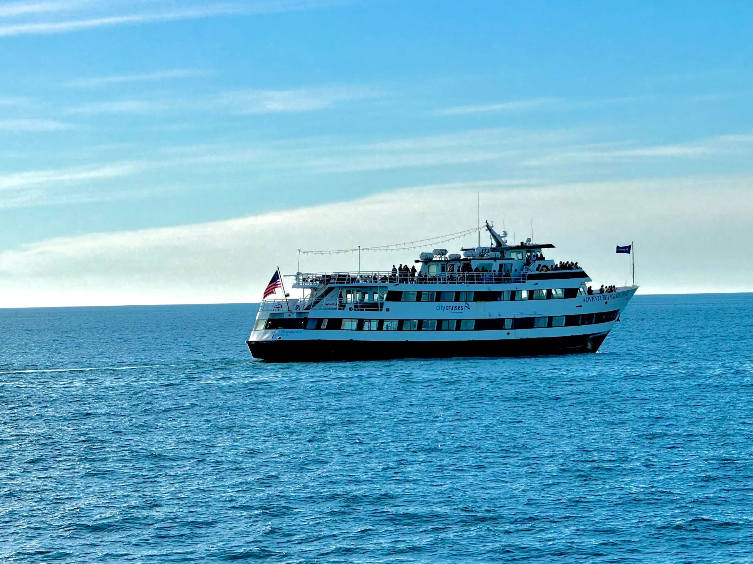 Whale watching tour on the Pacific Ocean in California 