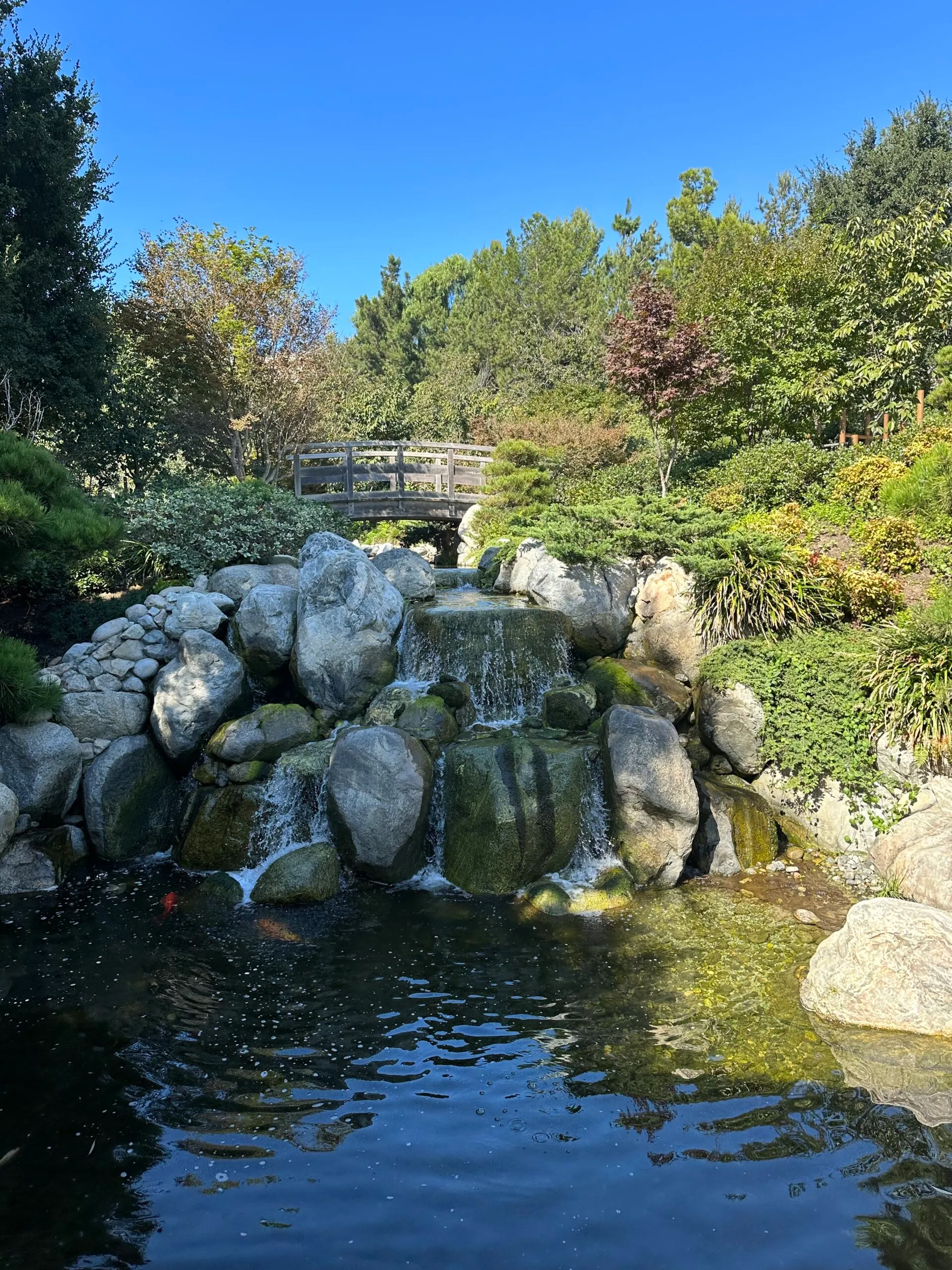 Balboa Park
Top 15 Things To Do In San Diego