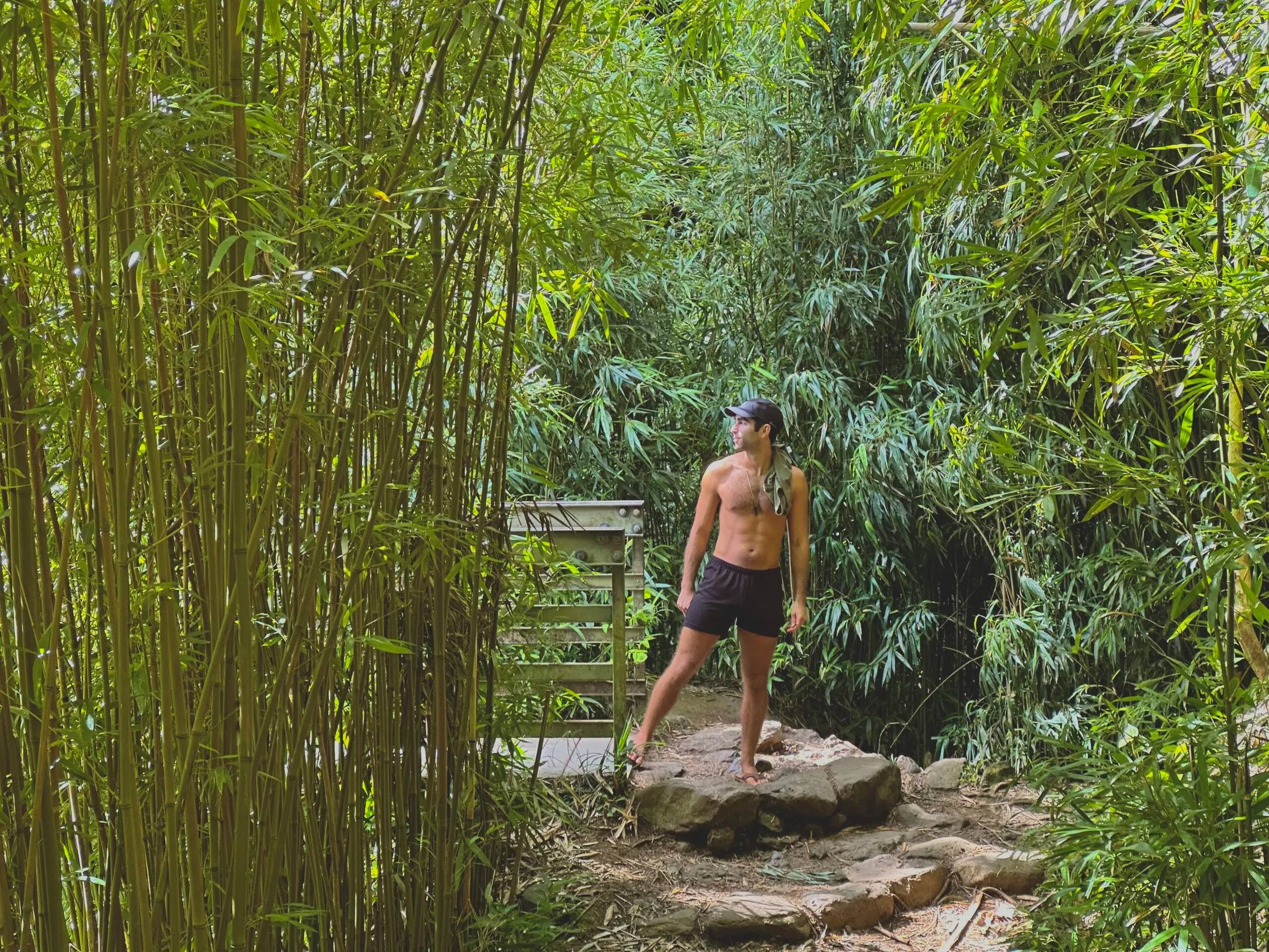 Pipiwai Trail- stop along the road to Hana