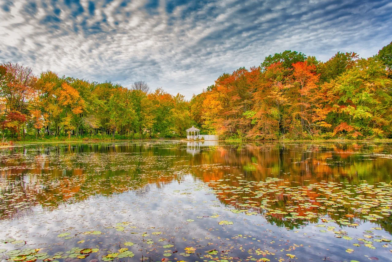 Icehouse Pond in Hopkinton, MA