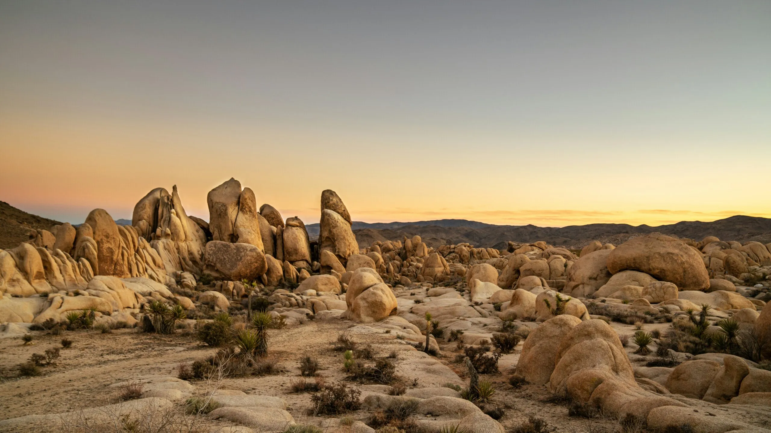 Joshua Tree National Park - California's 8 National Parks - Ranked