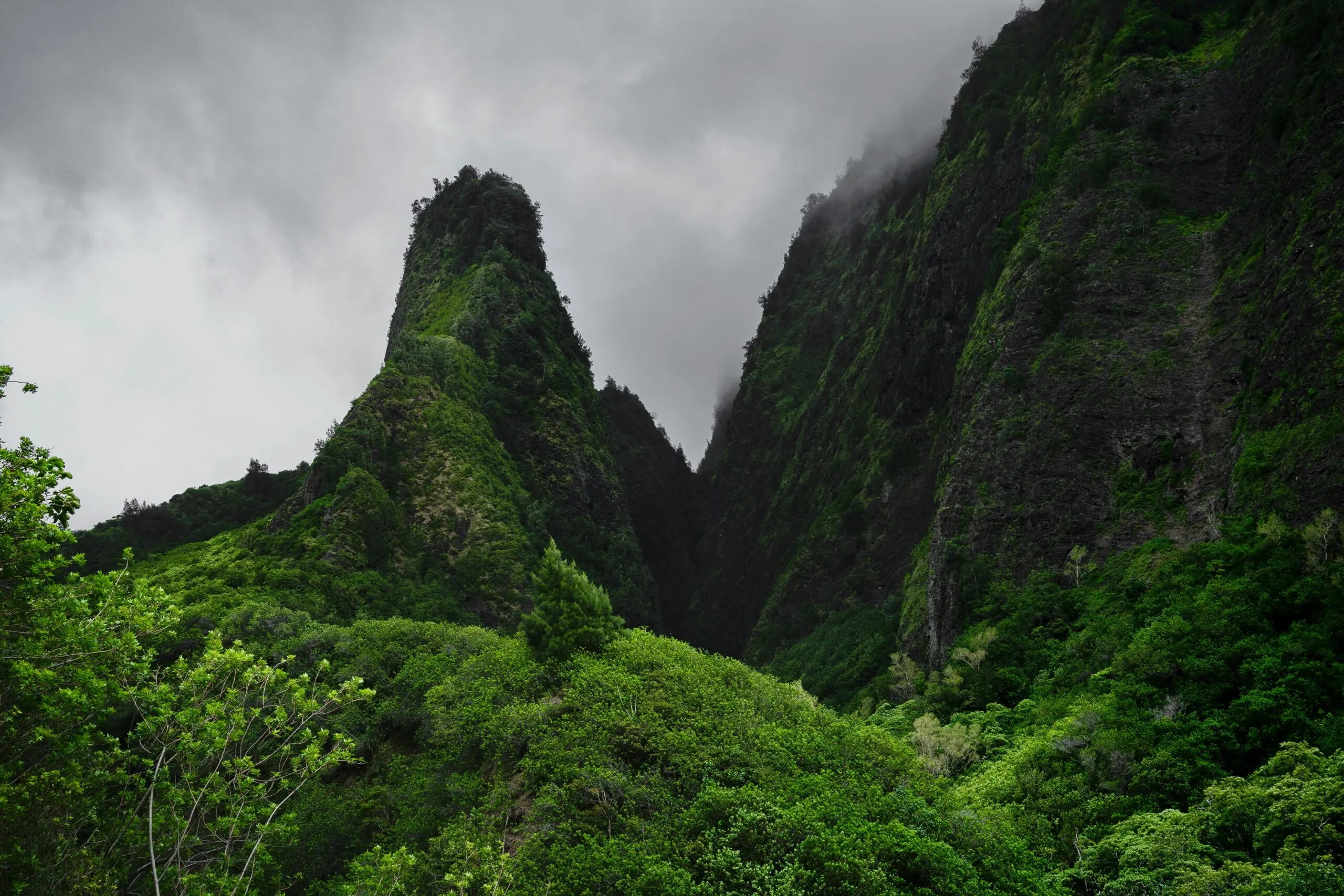 ʻĪao Valley State Monument; best things to do in Maui, Hawaii